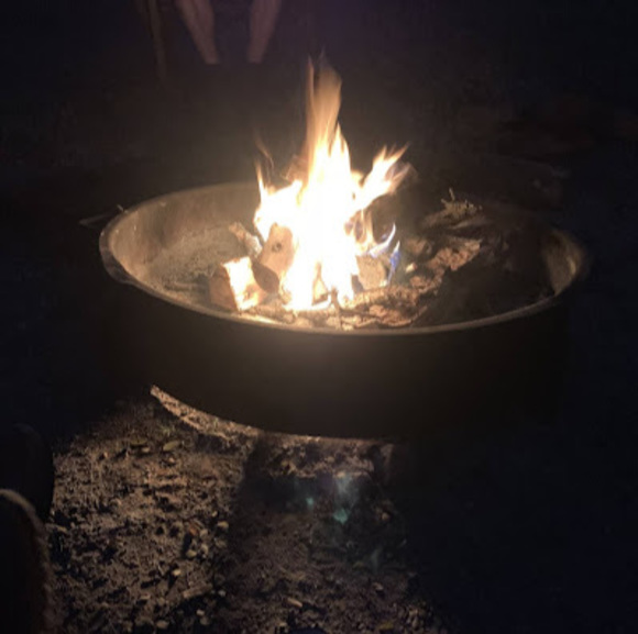 Meet your Posher, Dana - Picture 1 of 1